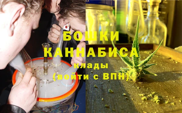 молекула духа Гусев