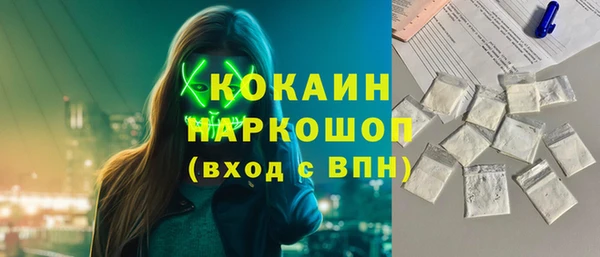 молекула духа Гусев