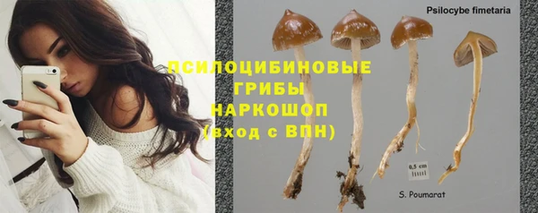 молекула духа Гусев