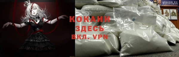 молекула духа Гусев
