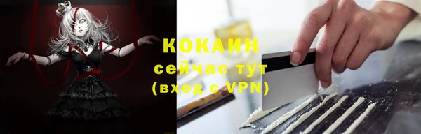 молекула духа Гусев
