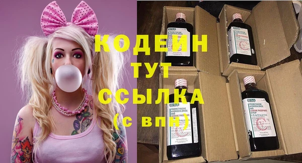 гидропоника Гусь-Хрустальный