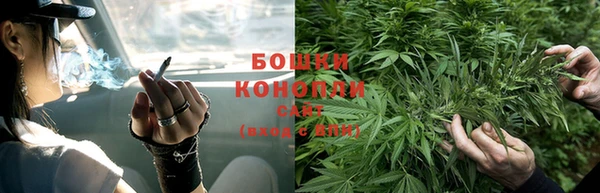 молекула духа Гусев